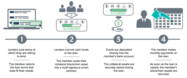 Начало работы с Salt Lending